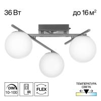 Потолочная светодиодная люстра Citilux Dorsy CL223131