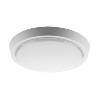 Накладной светодиодный светильник WOLTA DBO01-25-6.5K