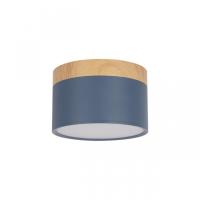 Накладной светодиодный светильник Loft IT Grape 10162 Blue
