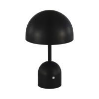 Настольная лампа Evoluce SLE1806-404-01