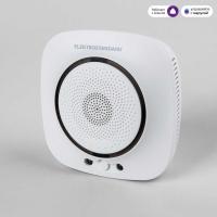 Датчик газа Wi-Fi Elektrostandard (Умный дом) 76250/00 a060341