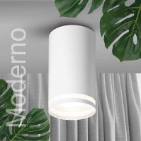 Потолочный светильник WOLTA WSL-GU10/02W