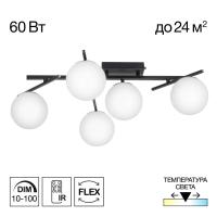 Потолочная светодиодная люстра Citilux Dorsy CL223152