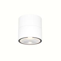 Уличный светодиодный светильник Maytoni Spin O310CL-L12W3K