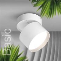 Потолочный светильник WOLTA WSL-GX53/02W