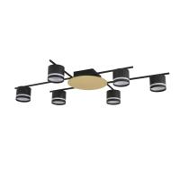 Светильник потолочный Lumion BENUA 8304/6C