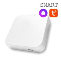 Конвертер WI-FI EKS Colibri Smart 0У-00002005