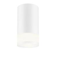 Накладной светильник EKS Art Glass 0У-00002847