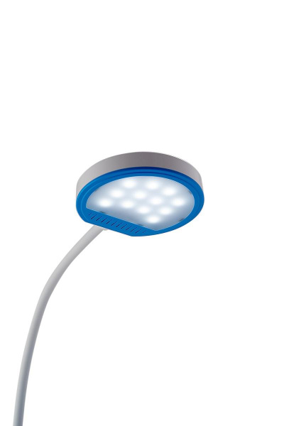 Настольная светодиодная лампа Lucia Органайзер L529 4606400511403