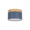 Накладной светодиодный светильник Loft IT Grape 10162 Blue
