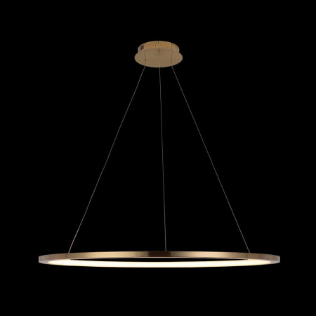 Подвесной светодиодный светильник Loft IT Ring 10014XL