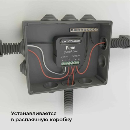 Реле Wi-Fi Elektrostandard (Умный дом) 76007/00 a059326