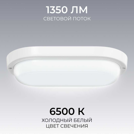 Светильник светодиодный герметичный OGM О28-12