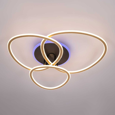 Потолочная люстра Citilux CL215B132