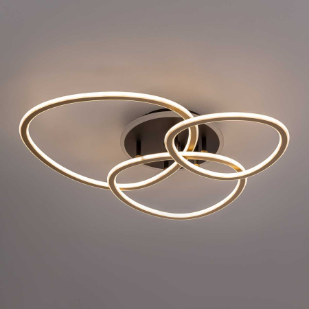 Потолочная люстра Citilux CL215B132