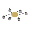 Светильник потолочный Lumion BENUA 8304/6C