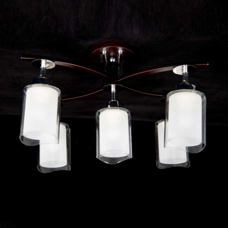 Спот Citilux Фортуна CL156152