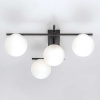 Потолочная светодиодная люстра Citilux Dorsy CL223142