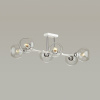 Потолочная люстра Lumion Moderni Alana 4517/6C