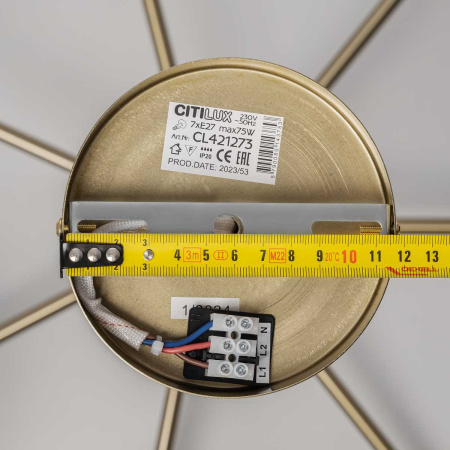 Подвесная люстра Citilux Alton CL421273