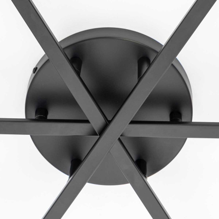 Потолочная люстра Citilux Glob CL209291