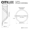 Каскадная люстра Citilux Lass CL249041