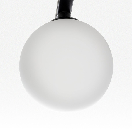 Потолочная люстра Citilux Glob CL209261