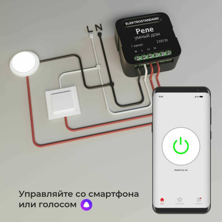 Реле Wi-Fi Elektrostandard (Умный дом) 76006/00 a059324