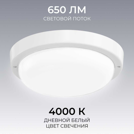 Светильник светодиодный герметичный OGM О28-01