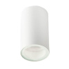 Потолочный светильник Italline DANNY PL IP white