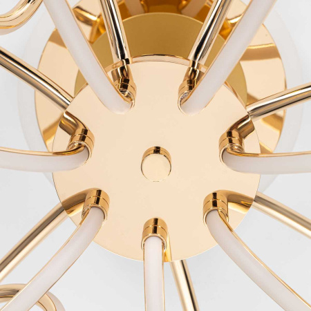 Потолочная светодиодная люстра Citilux Salma Smart CL224A172