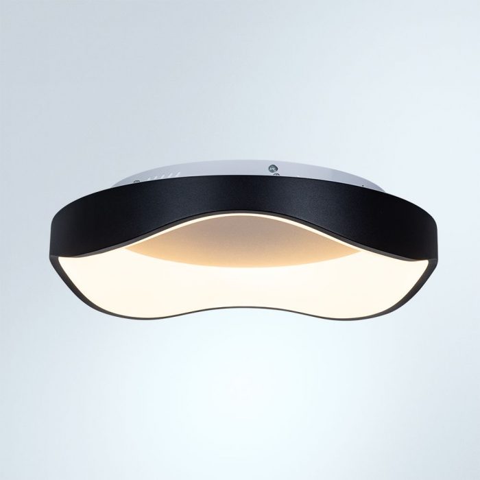 Потолочный светодиодный светильник Arte Lamp Ankaa A3085PL-48BK — изображение 4