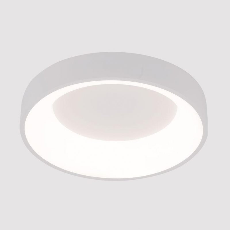 Потолочный светодиодный светильник Arte Lamp Kurhah A2695PL-50WH