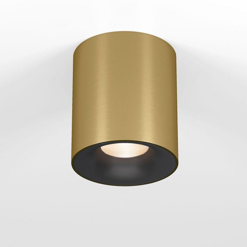 Потолочный светодиодный светильник Elektrostandard Primo 25116/LED a069413
