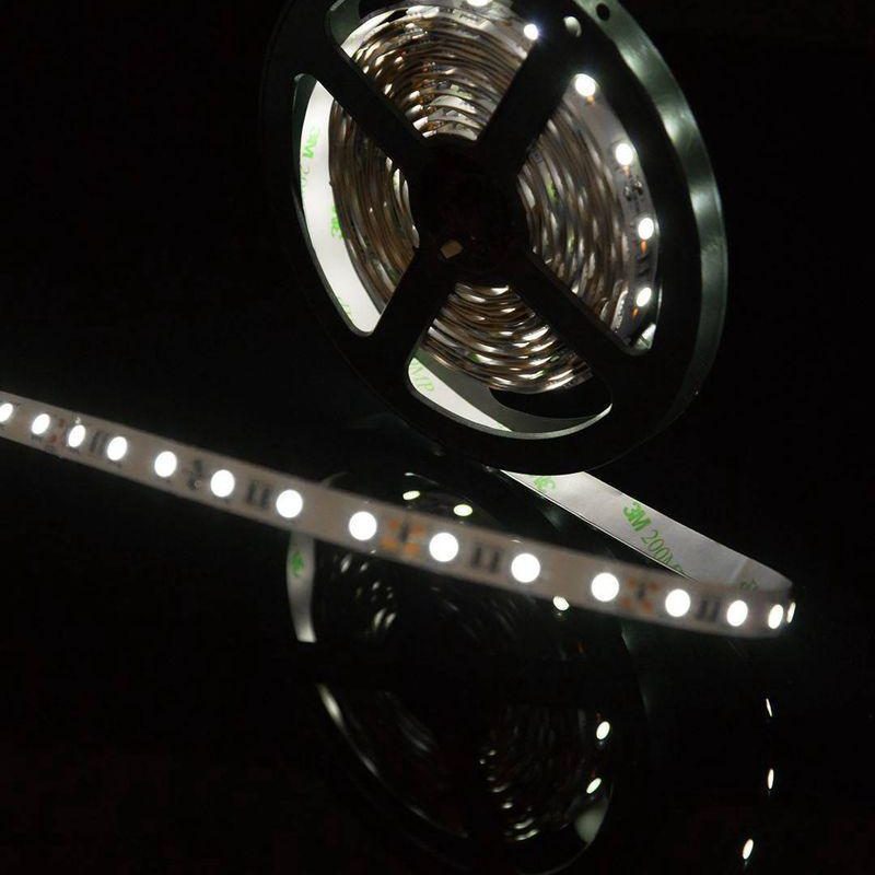 Светодиодная лента SWG 14,4W/m 60LED/m 5050SMD холодный белый 5M 001067