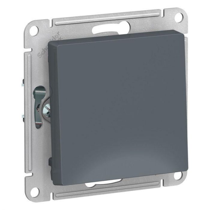 Выключатель кнопочный Systeme Electric AtlasDesign 10A 250V грифель ATN000715