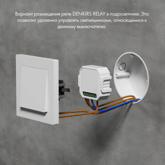 Wi-Fi реле-выключатель двухканальное Denkirs 2x1150Вт/150Вт для LED RL1002-SM/1 — изображение 3